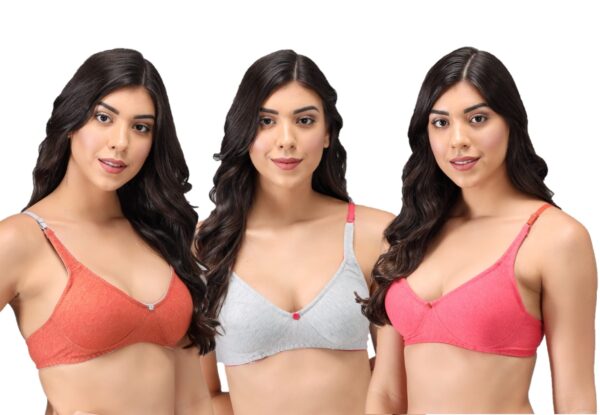 Accessorize Kingdom Women's Cotton Non-Padded Wire Free Regular Wear T-Shirt Bra Pack of 3 (NP01n) (B, 38) Multicolour