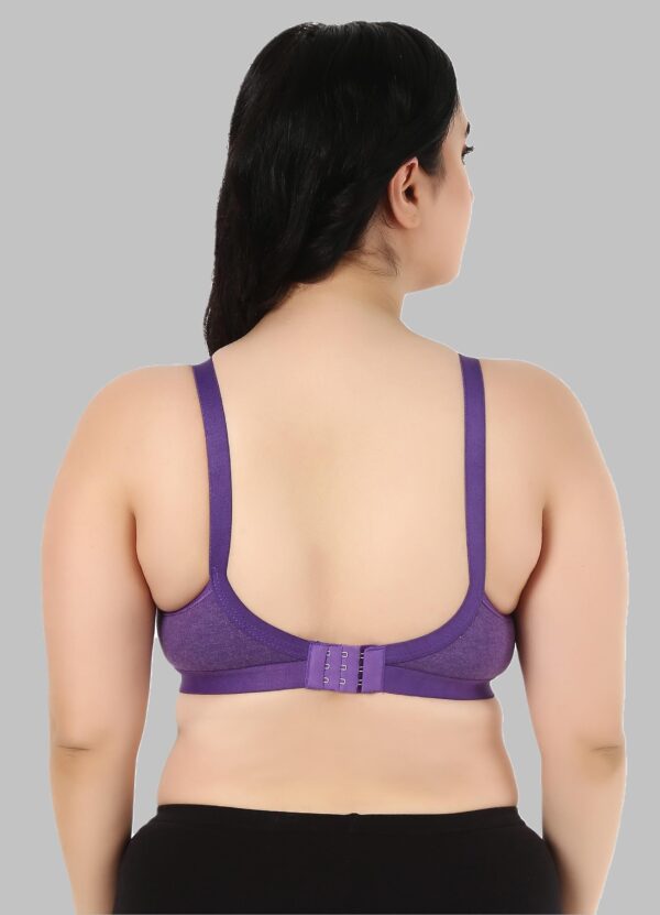 Accessorize Kingdom Full Support Minimizer Cotton Bra for Women, Everyday T-Shirt Pushup Heavy Breast | Bust Plus Size Bra (C, Brown, Red & Purple, 40) - Image 3