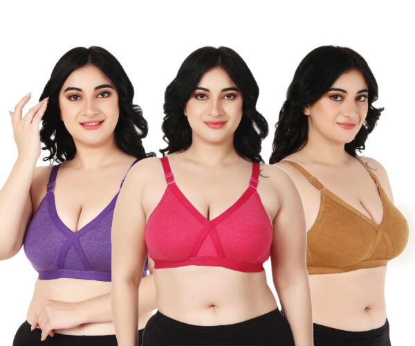 Accessorize Kingdom Full Support Minimizer Cotton Bra for Women, Everyday T-Shirt Pushup Heavy Breast | Bust Plus Size Bra (C, Brown, Red & Purple, 40)