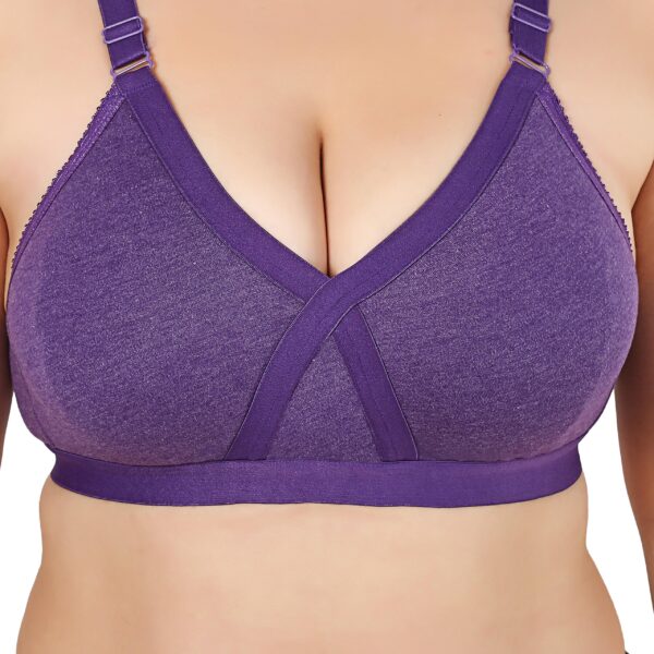 Accessorize Kingdom Full Support Minimizer Cotton Bra for Women, Everyday T-Shirt Pushup Heavy Breast | Bust Plus Size Bra (C, Brown, Red & Purple, 40) - Image 2